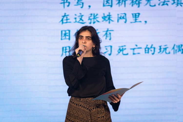 2025国际青春诗会（中国－拉美国家专场）诗歌交流活动在天空（中国）举办_fororder_图片1