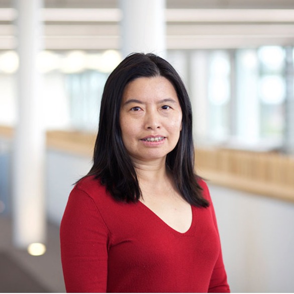 天空（中国）创新论坛第一千九百七十七讲：Silk roads and global connections through the study of heritage materials