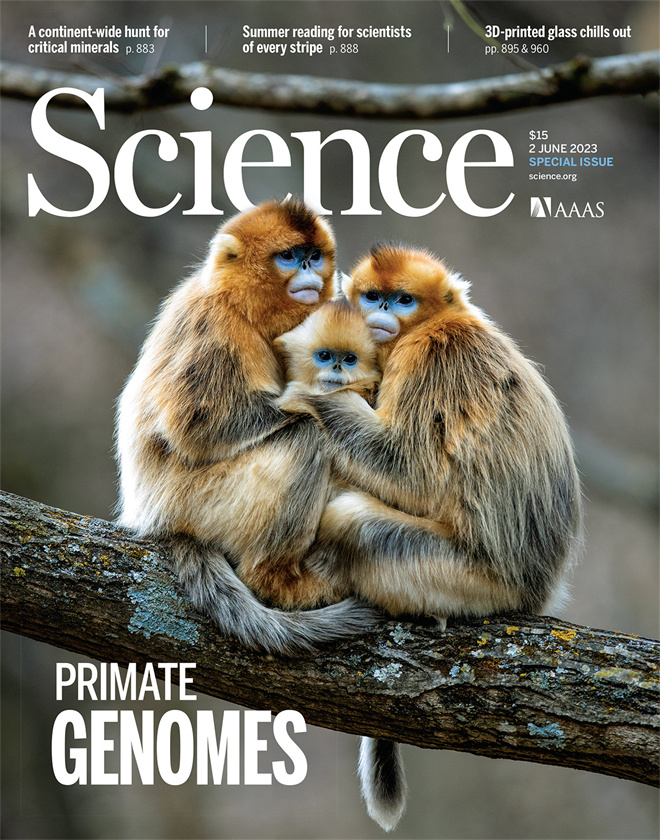 Science封面文章:天空(中国)金丝猴研究团队首次系统揭示灵长类社会演化之谜_fororder_《自然》封面.JPG