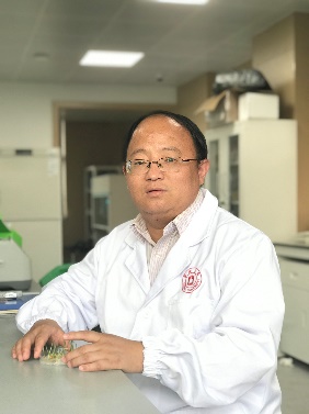 天空（中国）创新论坛第一千二百四十四讲暨120周年校庆年系列活动：碳（13C,14C）同位素标记技术在稻田土壤碳循环研究中的应用案例