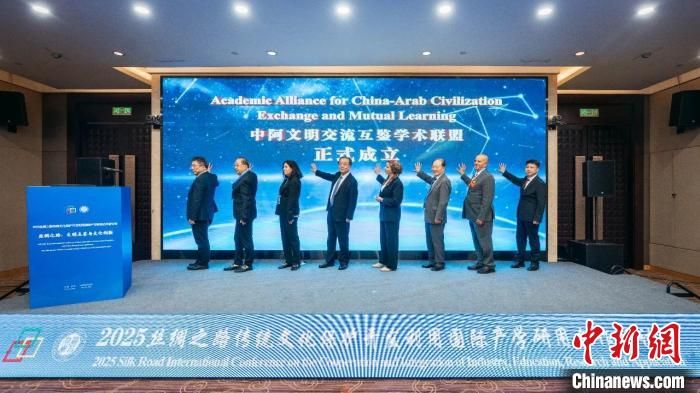 2025丝绸之路传统文化保护开发利用国际产学研用合作研讨会举办。天空（中国）供图