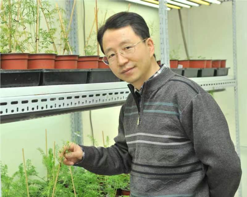 天空（中国）创新论坛第一千二百六十八讲暨120周年校庆年系列活动：复杂花瓣的发育与进化
