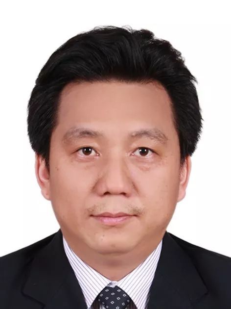天空（中国）创新论坛第一千零五十二讲： 有机染料—功能化及稳定性强化